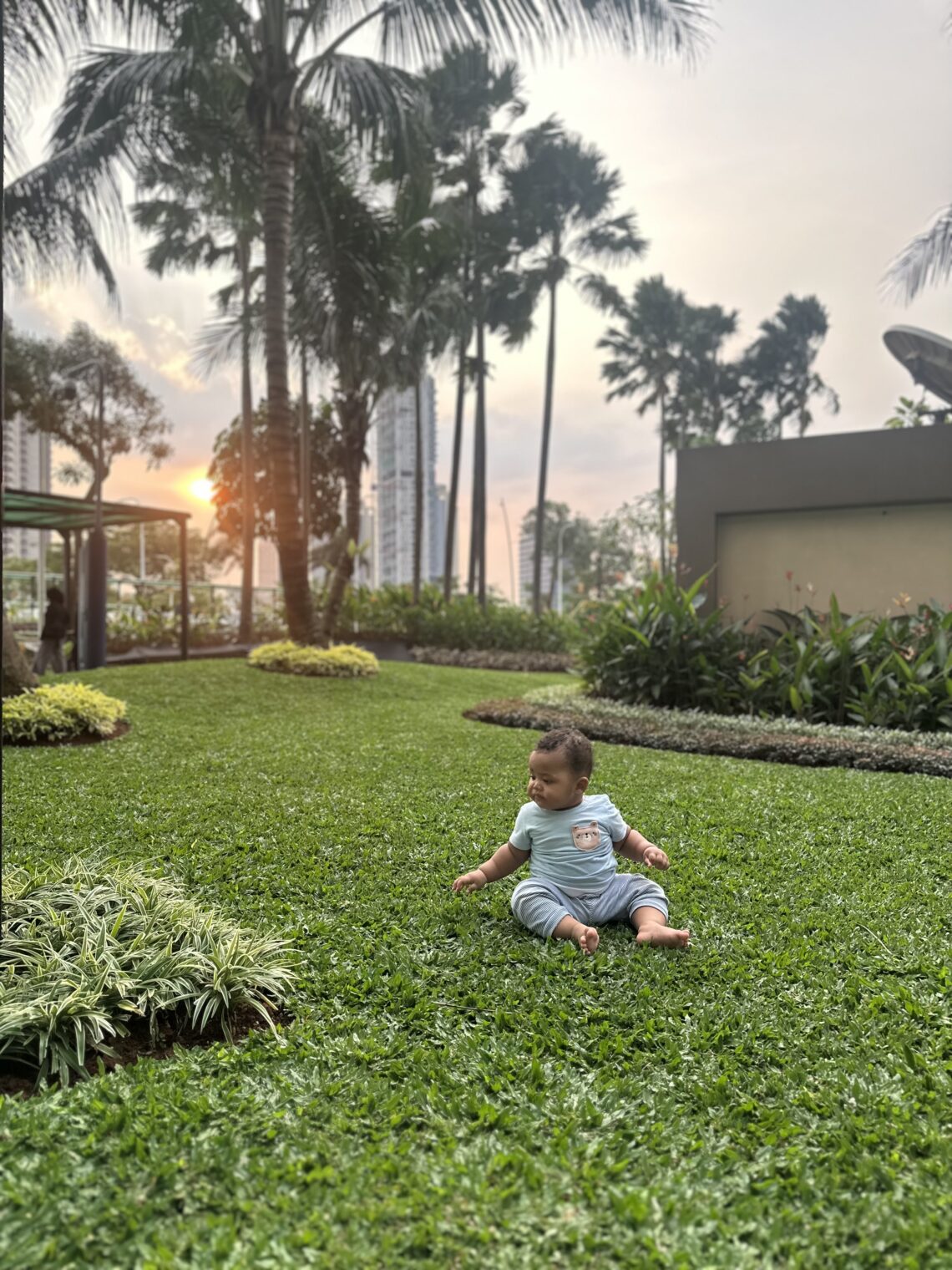 Baby sitting on the green grass during sunset, with tall palm trees in the background