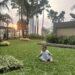 Baby sitting on the green grass during sunset, with tall palm trees in the background