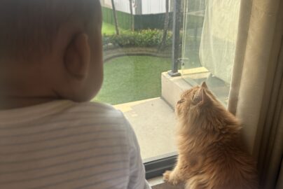 baby and cat looking at widow view in the morning