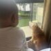 baby and cat looking at widow view in the morning
