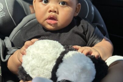 bayi belajar melalui panca indera