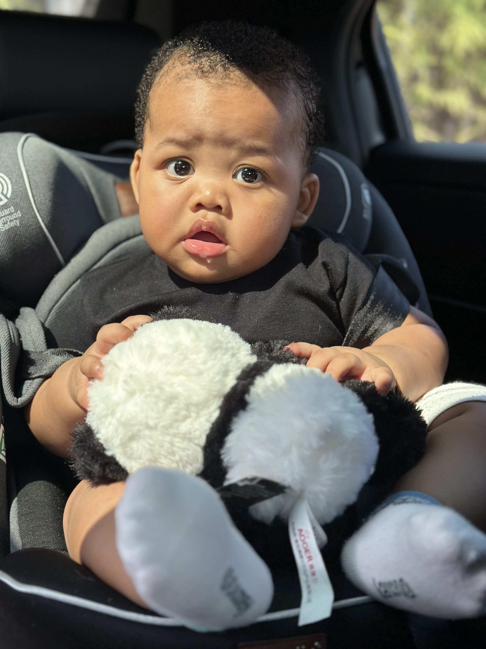 bayi belajar melalui panca indera